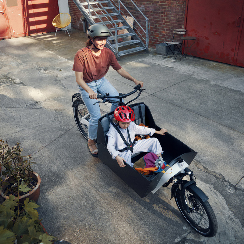 Elektro-Lastenfahrrad Riese & Müller Transporter 65